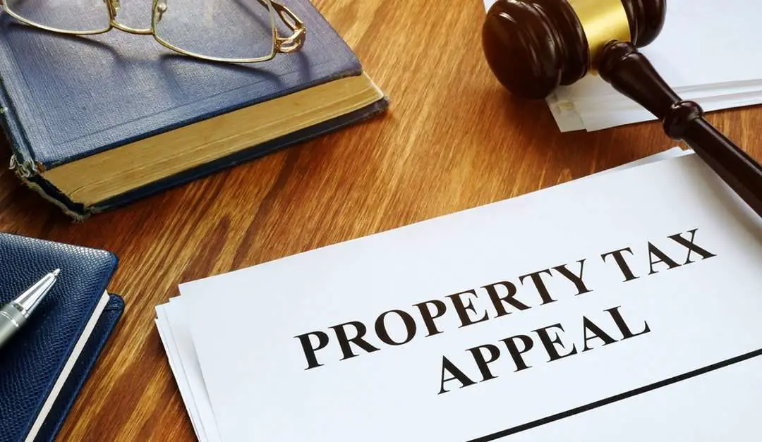Appealing Your Property Taxes? Consider Expert Help  RISMedia