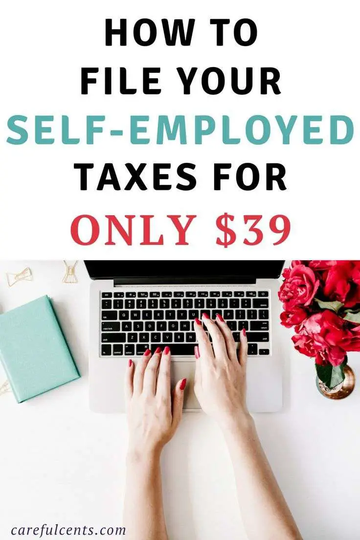 How I Save $479 a Year Filing My Self