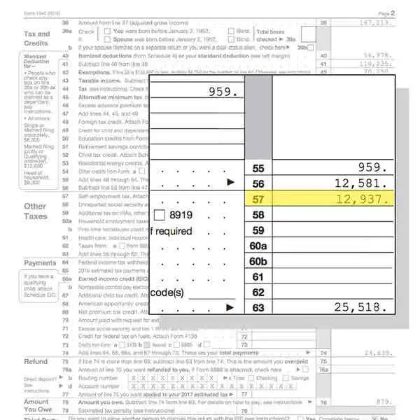 How to Fill Out Your Tax Return Like a Pro