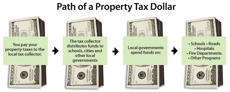 Property Tax System Basics