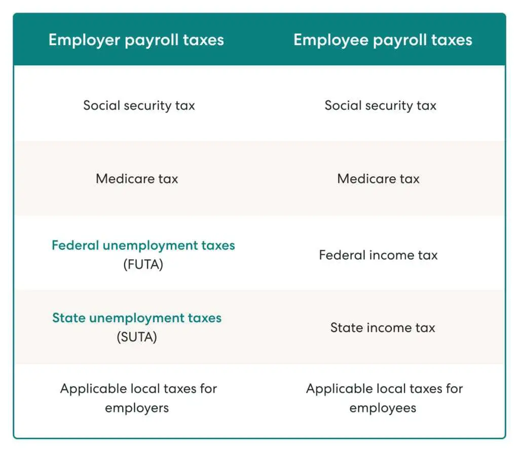 What Are Employee and Employer Payroll Taxes?