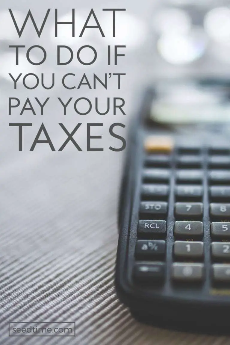 What to Do if You Canât Pay Your Taxes