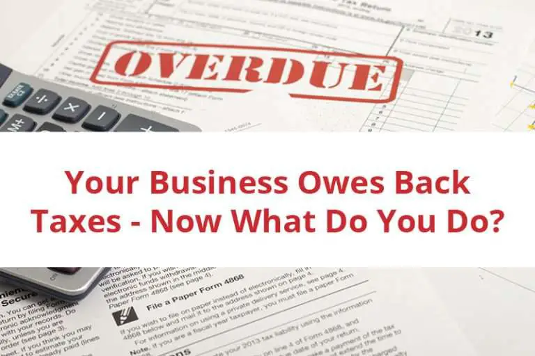 Your Business Owes Back Taxes to the IRS, What Should You Do?